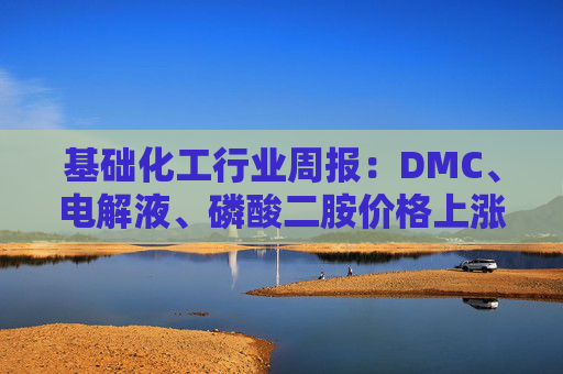基础化工行业周报：DMC、电解液、磷酸二胺价格上涨 关注反内卷和铬盐