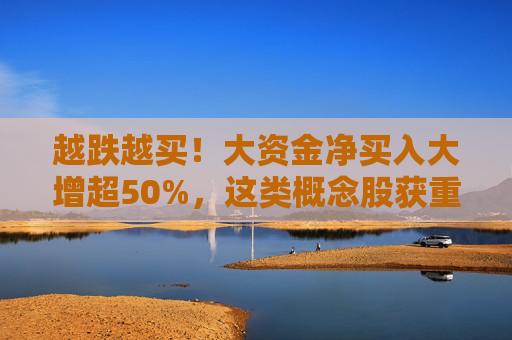 越跌越买！大资金净买入大增超50%，这类概念股获重点关注