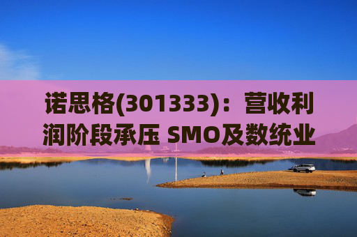 诺思格(301333)：营收利润阶段承压 SMO及数统业务保持稳健增长