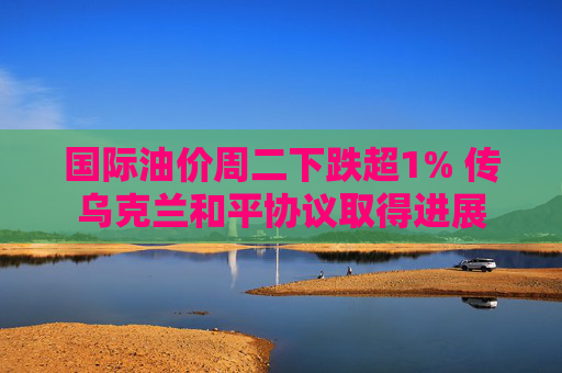国际油价周二下跌超1% 传乌克兰和平协议取得进展