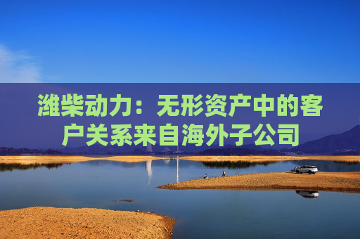 潍柴动力：无形资产中的客户关系来自海外子公司  第1张