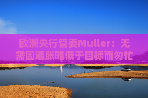欧洲央行管委Muller：无需因通胀略低于目标而匆忙降息