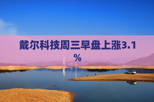 戴尔科技周三早盘上涨3.1%