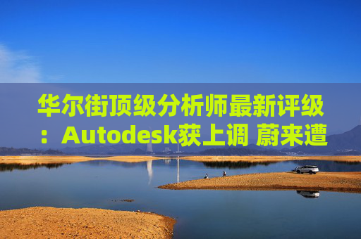 华尔街顶级分析师最新评级：Autodesk获上调 蔚来遭下调