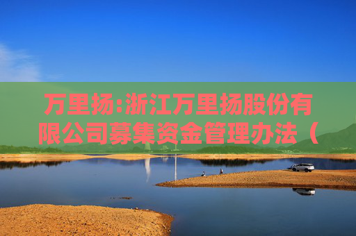 万里扬:浙江万里扬股份有限公司募集资金管理办法（2025年11月修订）