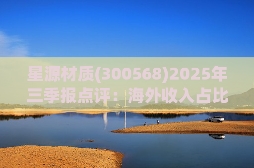 星源材质(300568)2025年三季报点评：海外收入占比提升 盈利水平改善