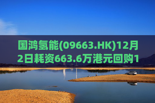 国鸿氢能(09663.HK)12月2日耗资663.6万港元回购128.6万股