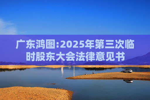 广东鸿图:2025年第三次临时股东大会法律意见书