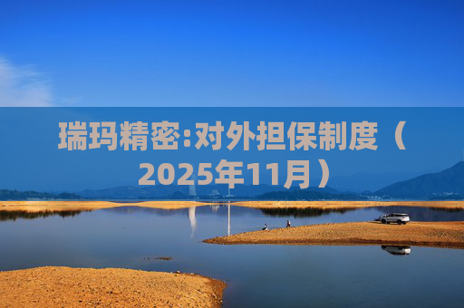瑞玛精密:对外担保制度(2025年11月)