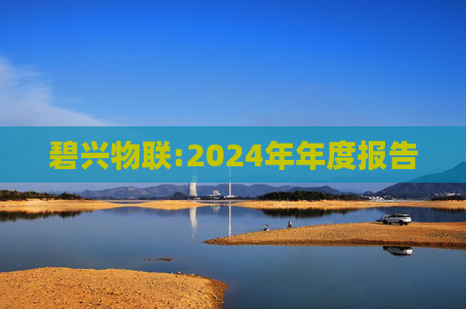 碧兴物联:2024年年度报告