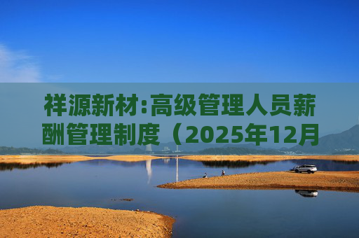 祥源新材:高级管理人员薪酬管理制度（2025年12月）  第1张