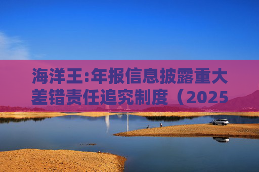 海洋王:年报信息披露重大差错责任追究制度（2025年12月）