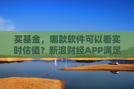 买基金，哪款软件可以看实时估值？新浪财经APP满足你的投资需求