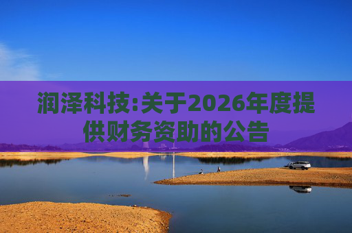 润泽科技:关于2026年度提供财务资助的公告