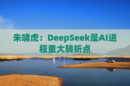 朱啸虎：DeepSeek是AI进程重大转折点