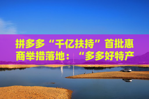 拼多多“千亿扶持”首批惠商举措落地：“多多好特产”等专项启动  第1张