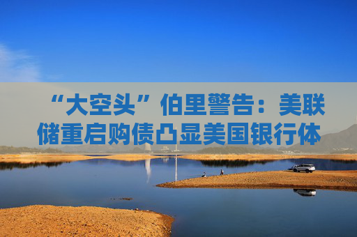 “大空头”伯里警告：美联储重启购债凸显美国银行体系脆弱