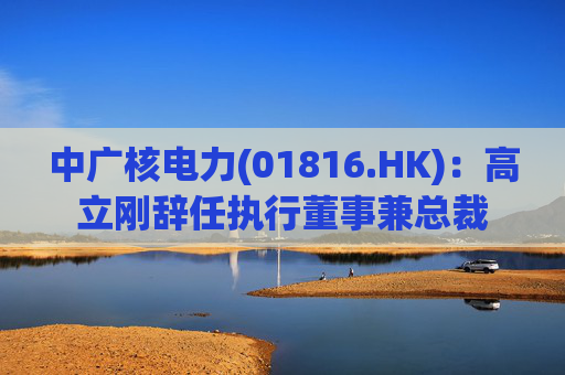 中广核电力(01816.HK)：高立刚辞任执行董事兼总裁  第1张