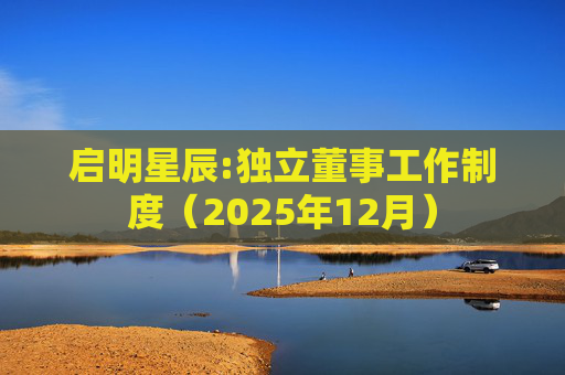 启明星辰:独立董事工作制度（2025年12月）