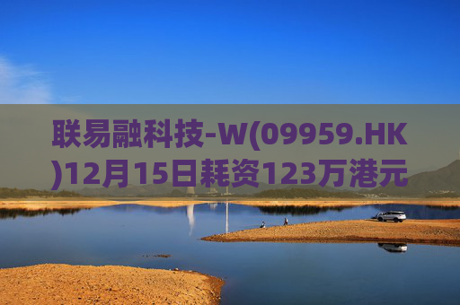 联易融科技-W(09959.HK)12月15日耗资123万港元回购53.3万股