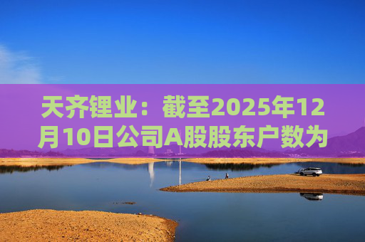 天齐锂业：截至2025年12月10日公司A股股东户数为307706户  第1张