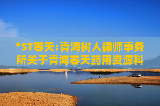 *ST春天:青海树人律师事务所关于青海春天药用资源科技股份有限公司2025年第三次临时股东会之法律意见书