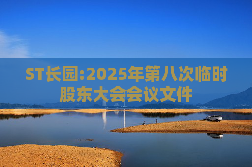 ST长园:2025年第八次临时股东大会会议文件