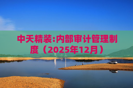 中天精装:内部审计管理制度（2025年12月）