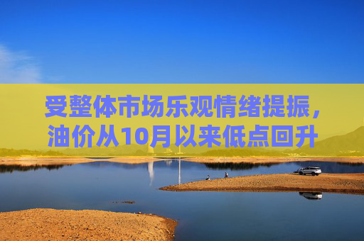 受整体市场乐观情绪提振，油价从10月以来低点回升