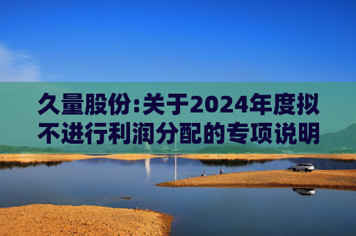 久量股份:关于2024年度拟不进行利润分配的专项说明
