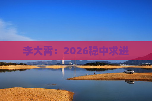 李大霄：2026稳中求进  第1张