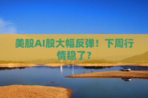 美股AI股大幅反弹！下周行情稳了？