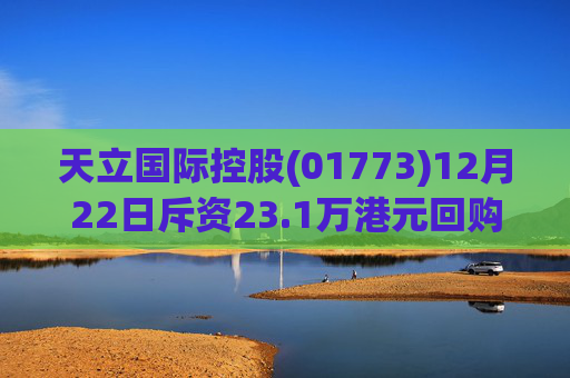 天立国际控股(01773)12月22日斥资23.1万港元回购10万股  第1张