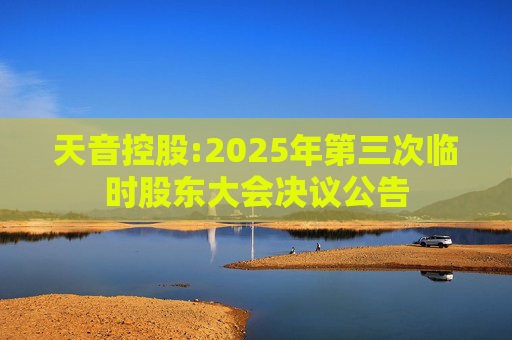 天音控股:2025年第三次临时股东大会决议公告