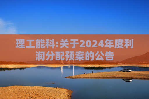 理工能科:关于2024年度利润分配预案的公告
