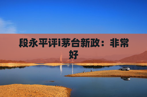 段永平评i茅台新政：非常好