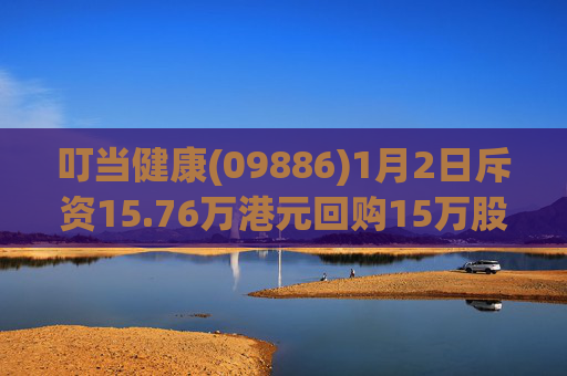 叮当健康(09886)1月2日斥资15.76万港元回购15万股