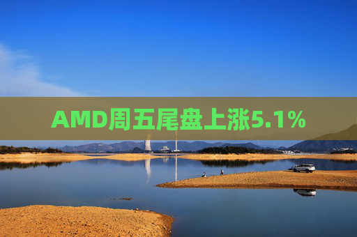 AMD周五尾盘上涨5.1%  第1张