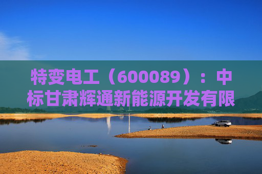 特变电工（600089）：中标甘肃辉通新能源开发有限公司采购项目，中标金额为3305.00万元