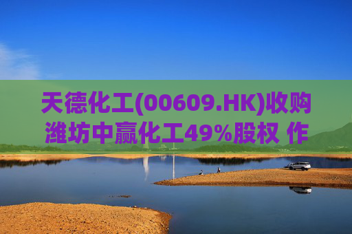 天德化工(00609.HK)收购潍坊中赢化工49%股权 作价8800万元  第1张