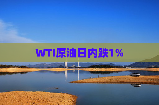 WTI原油日内跌1%  第1张