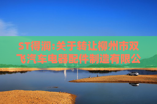 ST得润:关于转让柳州市双飞汽车电器配件制造有限公司部分股权的进展公告  第1张