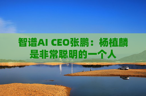 智谱AI CEO张鹏：杨植麟是非常聪明的一个人