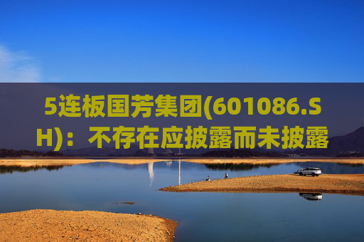 5连板国芳集团(601086.SH)：不存在应披露而未披露的重大信息