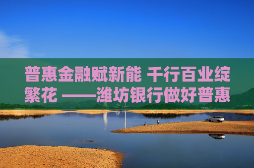 普惠金融赋新能 千行百业绽繁花 ――潍坊银行做好普惠金融“大文章”助力区域经济高质量发展
