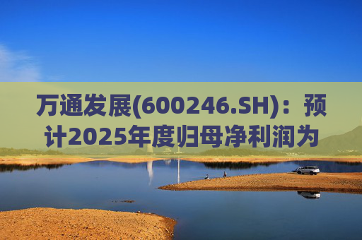 万通发展(600246.SH)：预计2025年度归母净利润为负值
