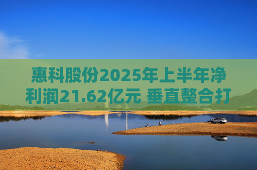 惠科股份2025年上半年净利润21.62亿元 垂直整合打造显示产业全链条优势