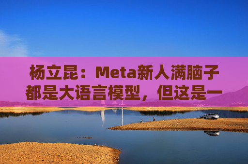 杨立昆：Meta新人满脑子都是大语言模型，但这是一条死胡同