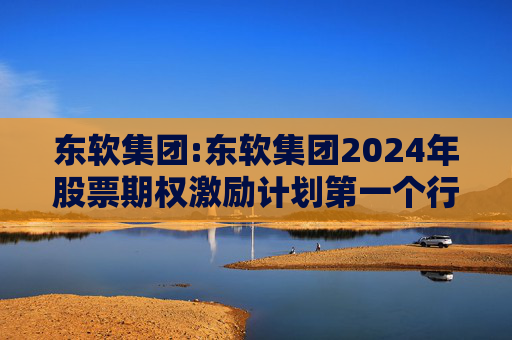 东软集团:东软集团2024年股票期权激励计划第一个行权期2025年第四季度自主行权结果暨股份变动的公告