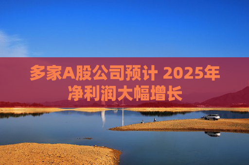 多家A股公司预计 2025年净利润大幅增长